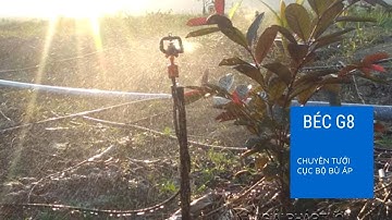 Béc tưới bù áp G8 40 lít cho địa hình đồi dốc
