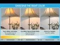 Ask the Expert: How to Choose a Light Bulb