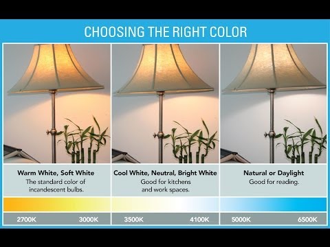 ভিডিও: কীভাবে আলোর বাল্ব বেছে নেবেন: টিপস এবং কৌশল