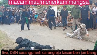 macanan ganas❗bantengan PTJS putro taruno jati sholawat @ph pro channel