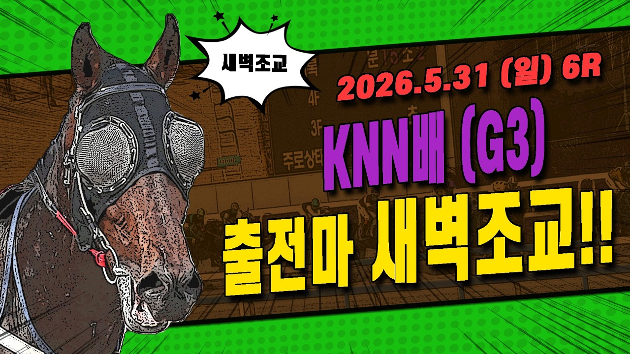 [부산 경마] 2026 KNN배 (G3) 대상경주 출전마 새벽조교