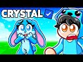 Exposing Crystal's Secret Account Avatars...