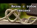 Нежная песня о любви Моя жизнь с тобою связана Нежная песня о любви Моя жизнь с тобою связана