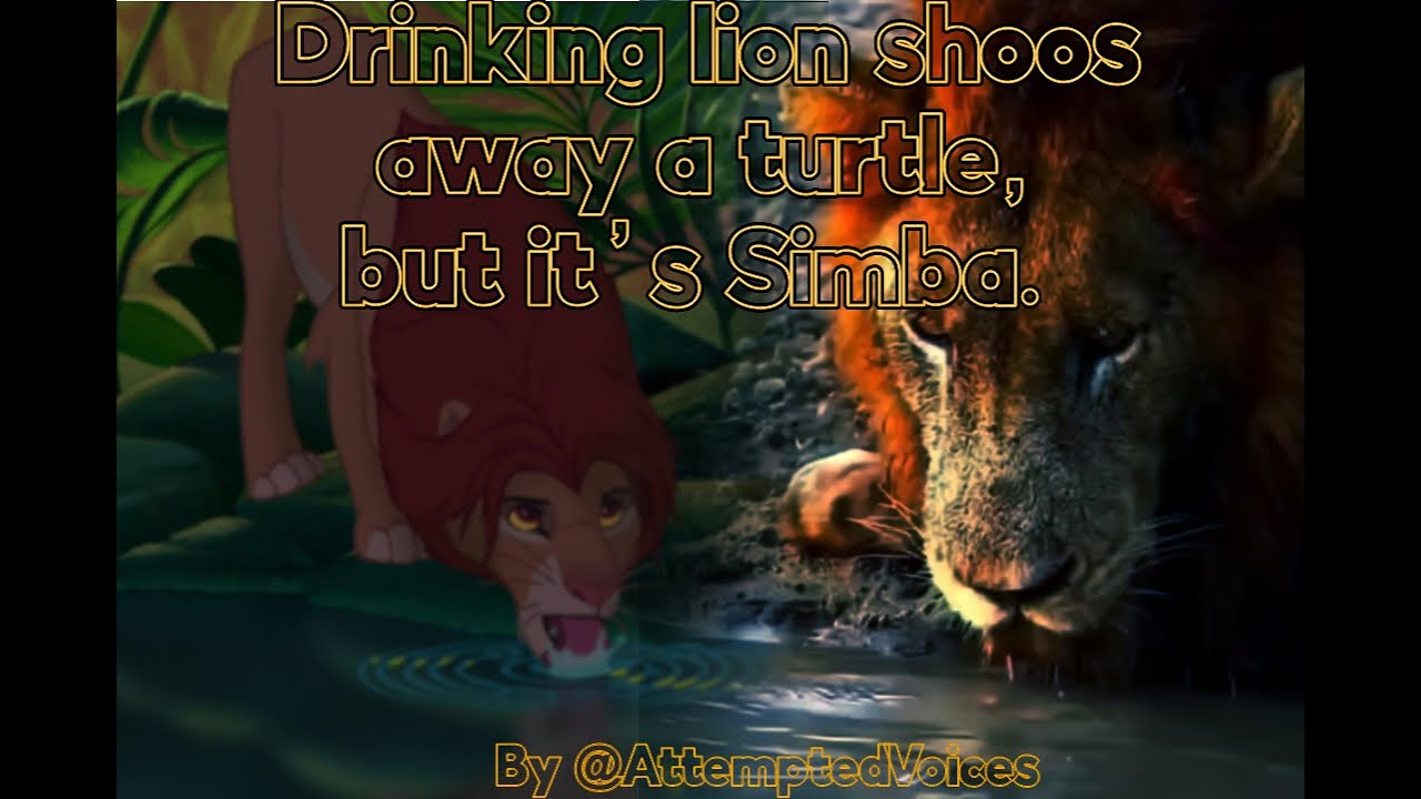 Simba Turtle Lion shoos away a turtle, but it's Simba. - YouTube