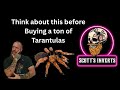 Things to consider before getting more Tarantulas