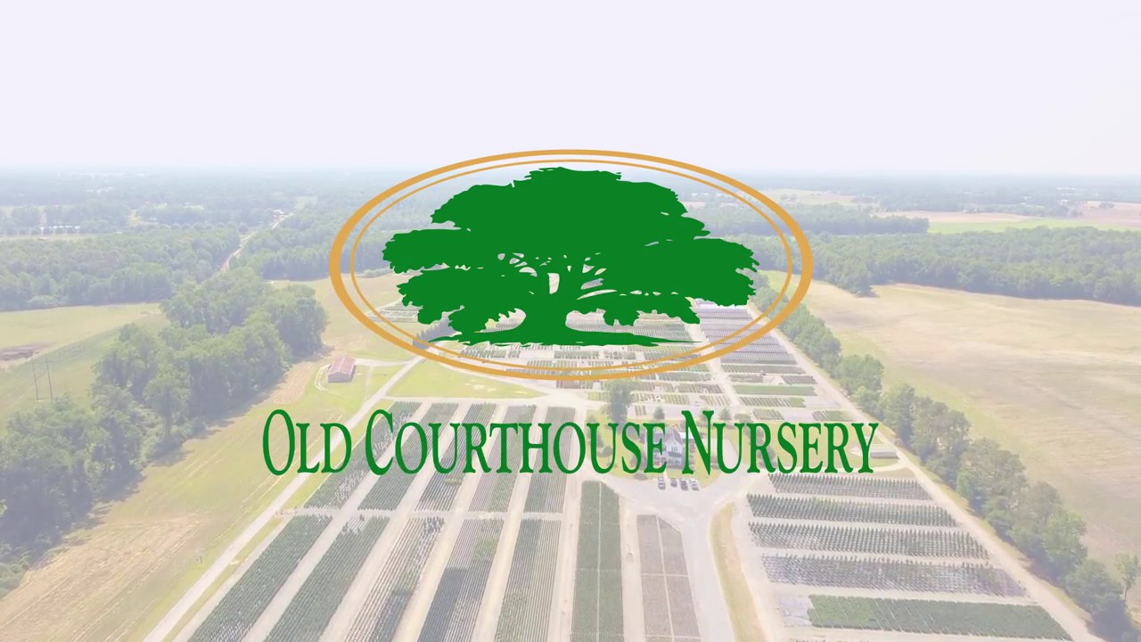 Old Courthouse Nursery Overview Video YouTube