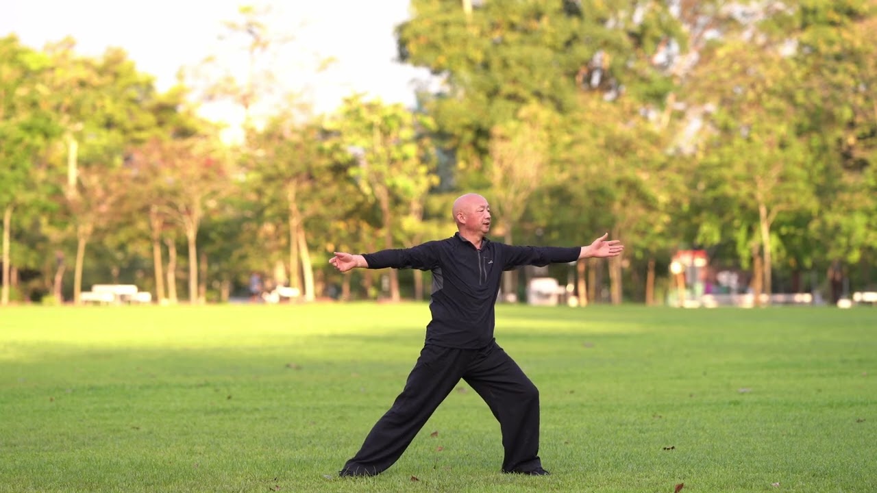 Daoist Tai Chi Fundamentals for Health, Balance, and Healthy Aging道家太极拳基本功练习｜养生健身与平衡提升指南