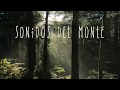 Sonidos del monte