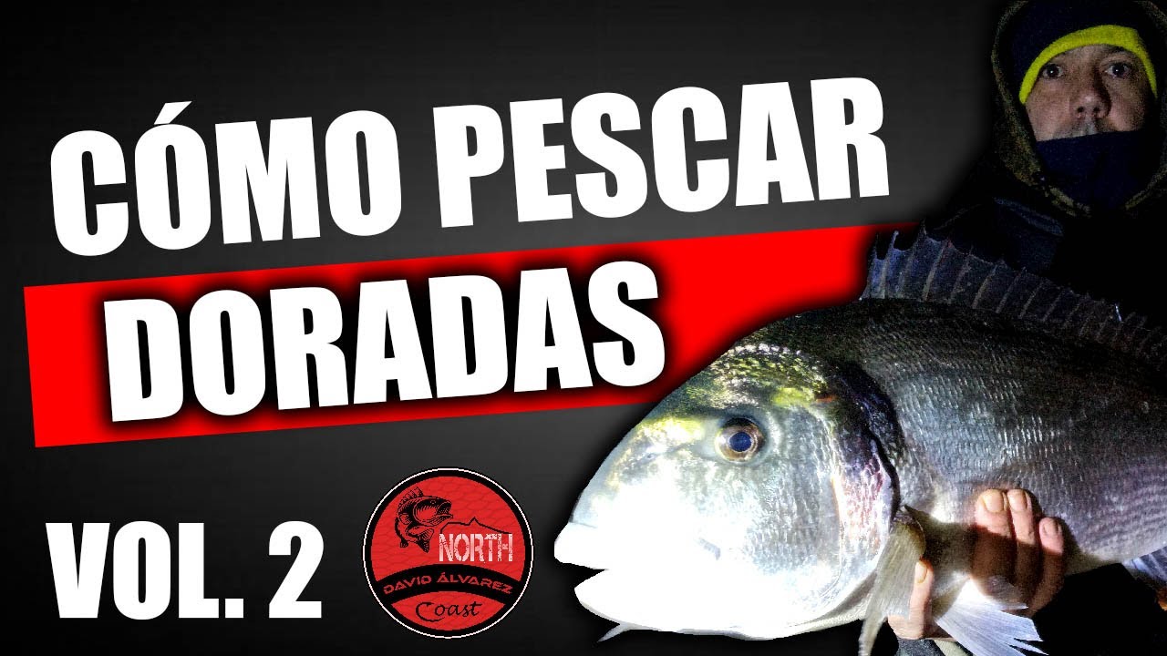 CÓMO pescar DORADAS desde la PLAYA y ría a surfcasting TRUCOS Y MONTAJE