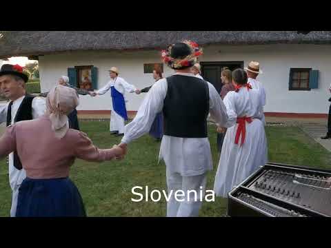 Video: Oslava vašeho domácího mazlíčka: Červen