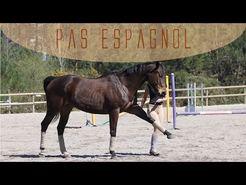 Vidéo: Comment Apprendre à Un Cheval à Marcher En Espagnol