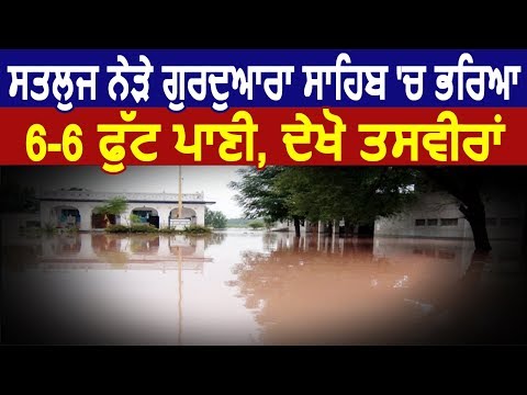 Exclusive: Ludhiana में Satluj नजदीक Gurudwara Sahib में भरा 6 Feet पानी