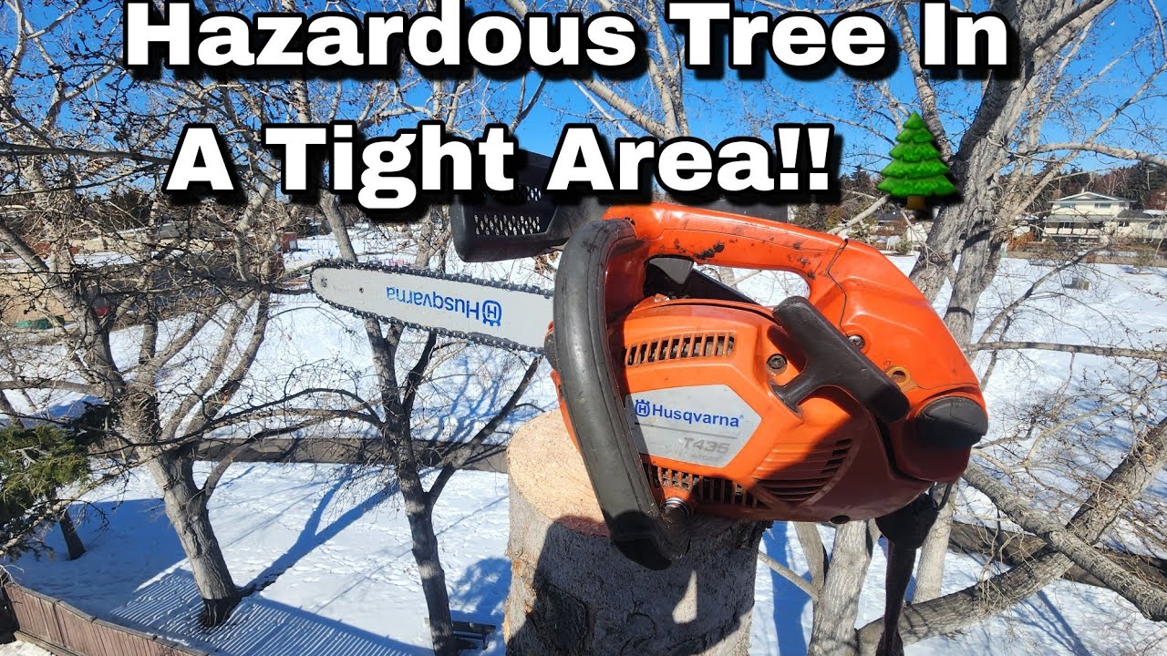 Hazardous Tree Removal In Tight Area!! - YouTube