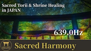 Watch Harmony Enter The Sacred video