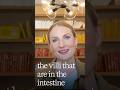 Why Early Diagnosis Matters for Celiac Disease &amp; Type 1 Diabetes