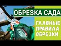 Весенняя обрезка плодовых деревьев! Формируем яблоню и сливу!