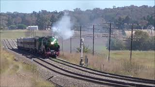 3801 NSW Steam Locomotives