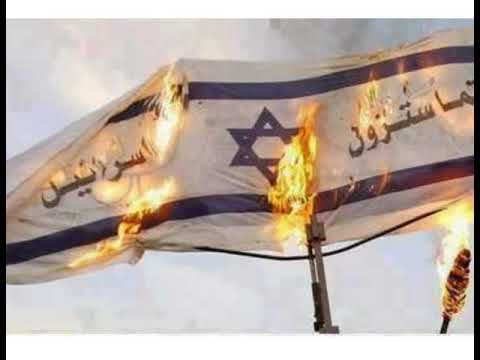 عاشت فلسطين