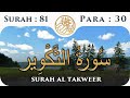 81 Surah Al Takwir  | Para 30 | Visual Quran with Urdu Translation