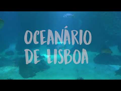 Βίντεο: Lisbon Oceanarium: The Complete Guide