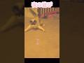 夜の運動会💨 #cat #猫のいる暮らし #保護猫
