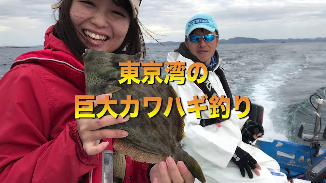 さすらいの五目釣り師・西野弘章 books | 房総爆釣通信
