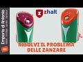 Zhalt 2024 Presentazione Zhalt Short