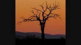 DURGA RANGILA SAD SONGS COLLECTION(mr ambersariya)