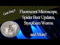 Fluorescent Microscope, Styrofoam Worms, Spider Beer Updates, and More! -Grab Bag 6