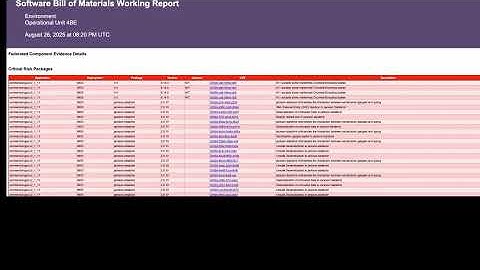 Learn How to Detect Open-Source Vulnerabilities for on-orbit Satellites
