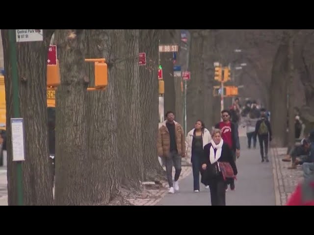 Bike Rider Sought In Central Park Crime Spree Nypd