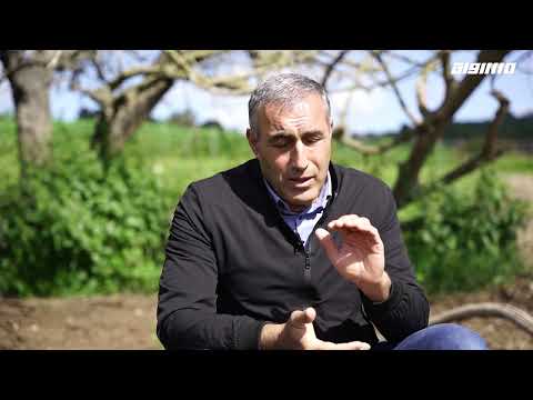 إيابا جولة في قرية صبارين الفلسطينية المهجرة مع اسد خير الله