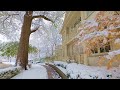 After SNOWFALL Winter Vibes in Beautiful Neighborhood of Toronto Homes and Classic Relaxing Music