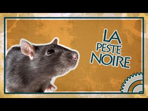 Vidéo: La Peste Rejoint La Liste Des Maladies Zoonotiques à Surveiller