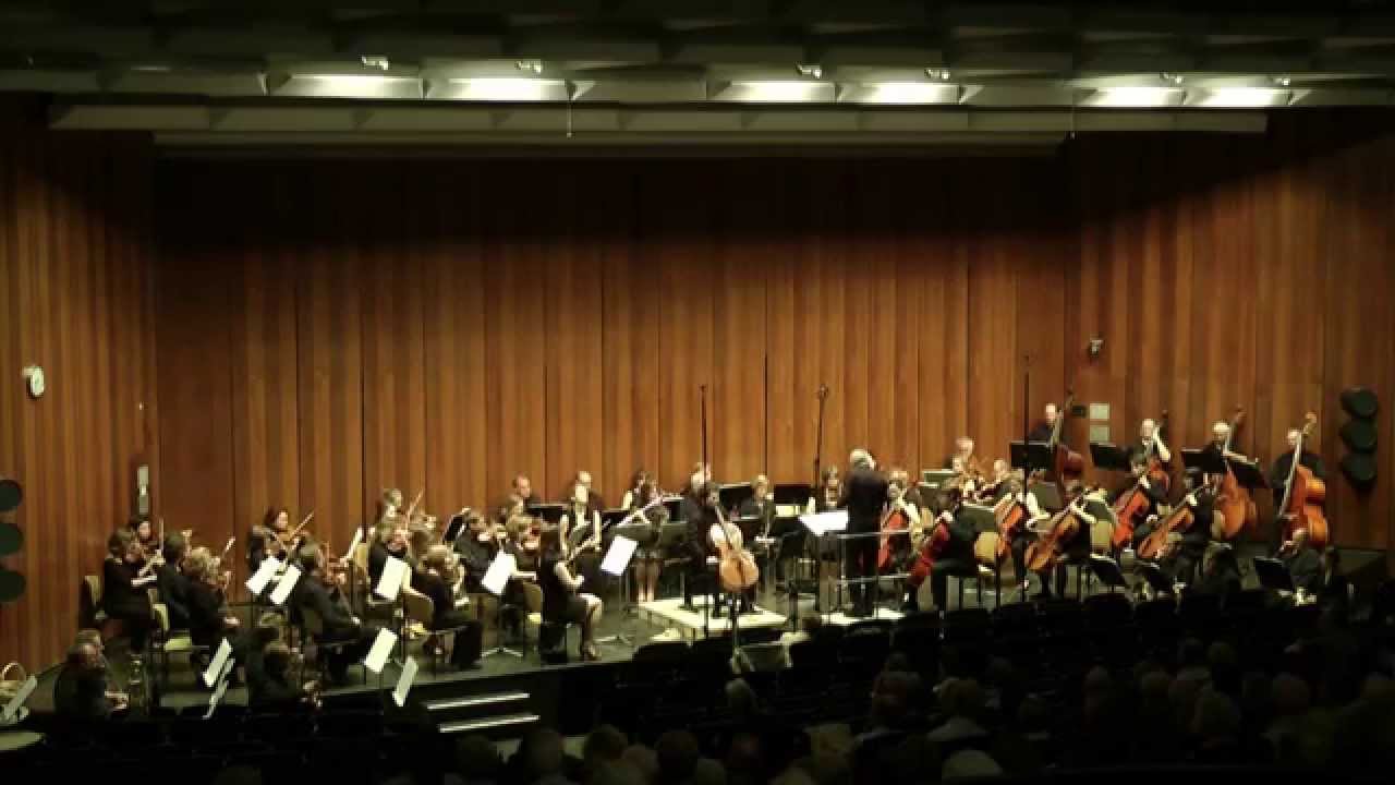 Franz Reizenstein, Cello Concerto, Sebastian Foron - Cello, 1st movement