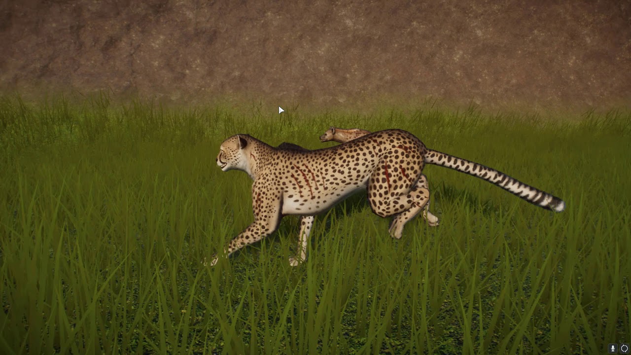 Zoo Animal Stampede YouTube