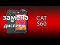 cat s60 | разборка| замена дисплея