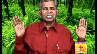 DODDANA TESTIMONY- 2/2