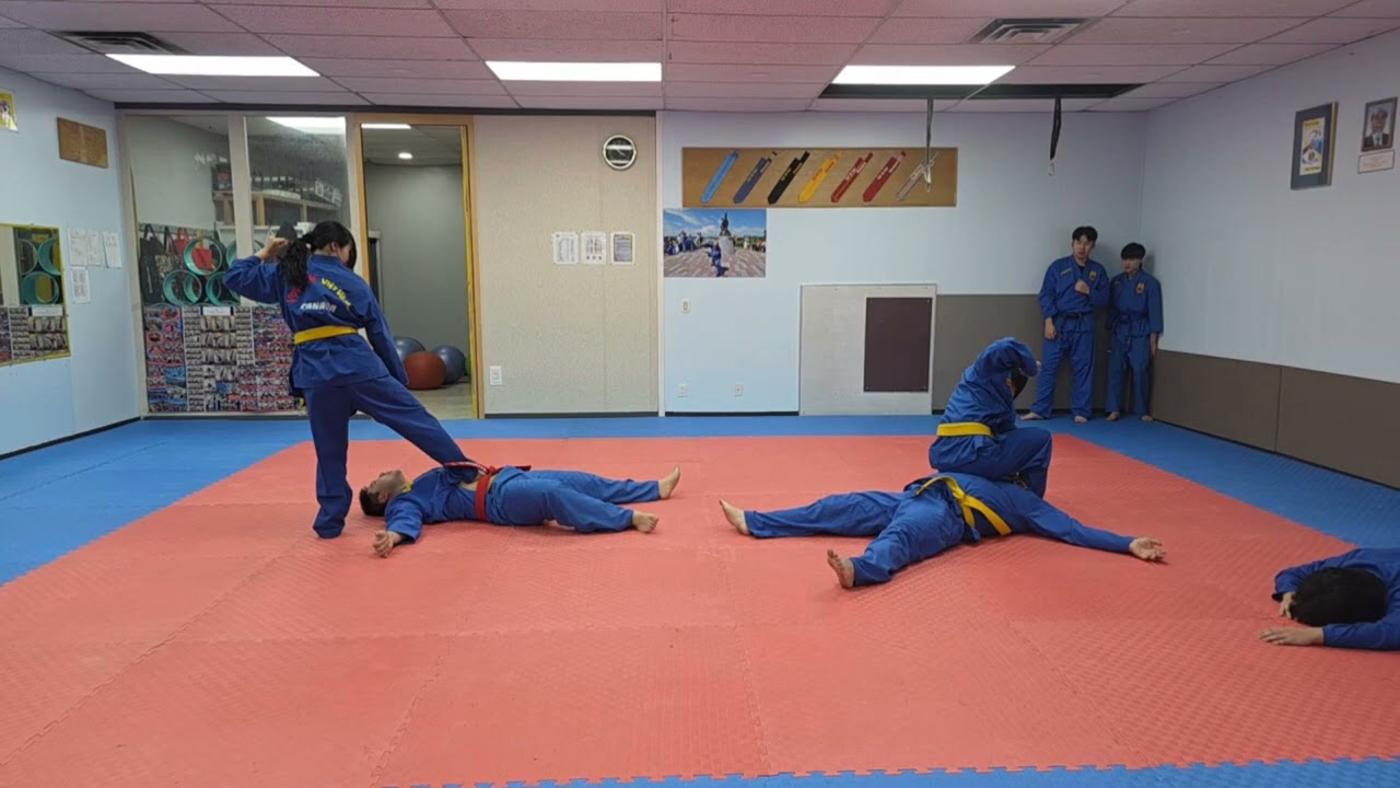 Trưng Triệu nêu gương, gái Việt tiếp xây nền võ đạo