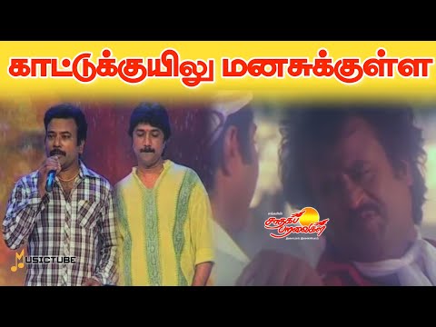 kattu kuyilu manasukulla | Live Concert
