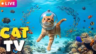 🔴[Cat TV 12H Stream] Stimulating Visual Games For Kittens😼Jolly The Cat: Deep Ocean Journey🌈 screenshot 4