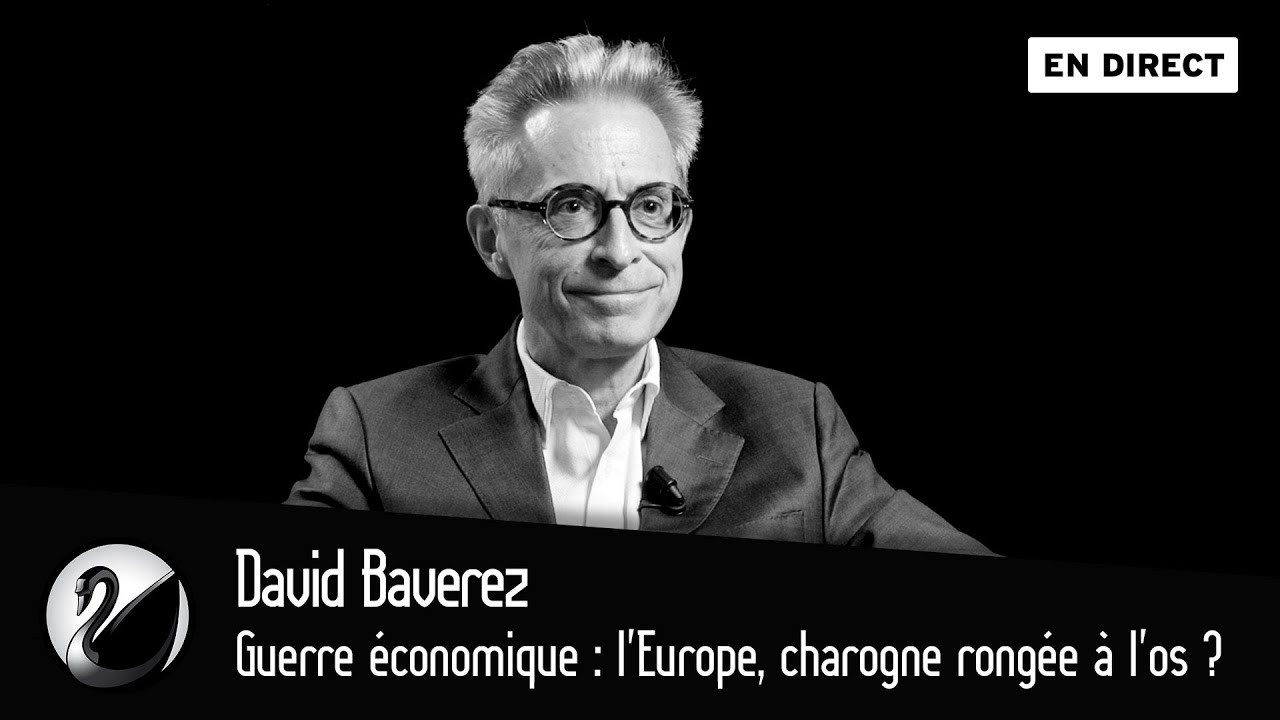 Guerre économique : l'Europe, charogne rongée à l'os ? David Baverez [EN DIRECT]
