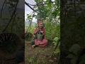Aapki S Favorite Vegetable Shrutisharma Pahari Himachaligirl Himachal Beans Vegetable Shrutipahari 