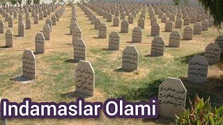 Indamaslar Olami-----Индамаслар Олами