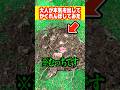【天才】本気を出してかくれんぼしたらムッチが凄すぎた#shorts