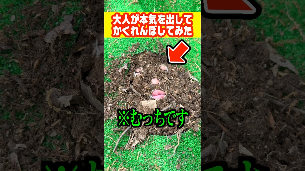 【天才】本気を出してかくれんぼしたらムッチが凄すぎた#shorts