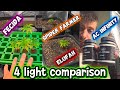 Let the 4 light comparison start!! 