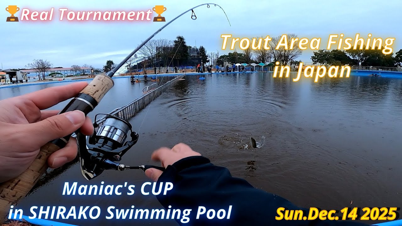 [🏆 Real Tournament ] M's CUP in SHIRAKO 🏊‍♂️1st Round Dec.14 2025 / Trout Area Fishing in Japan