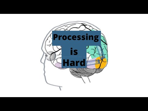 Autism & Processing Information