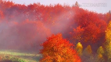 تلاوة رائعة جداً لفضيلة الشيخ ماهر المعيقلي من سورة سبأ من صلاة المغرب 12-4-1438.